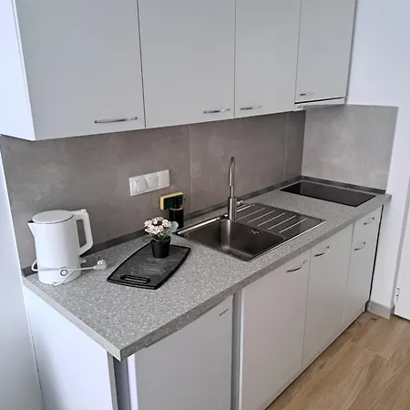 Centrum Loft Apartment Mesochorion (Evrytania)